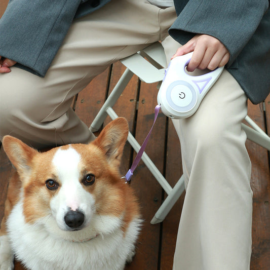 RETRACTABLE DOG LEASH