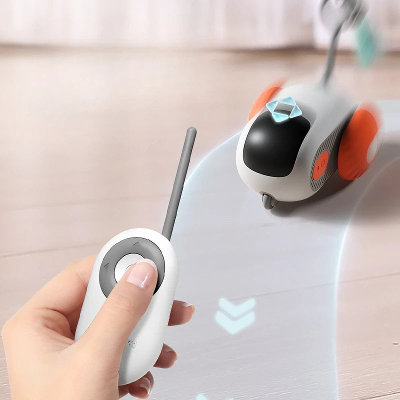 Crazy Joy Car Remote Control Electric Cat Toy