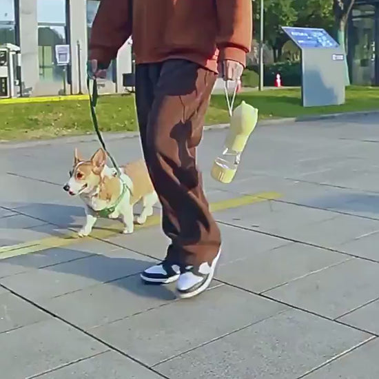 video